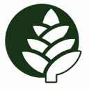Founder, AgenceCocoweb